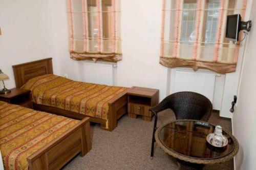 Hotel Satyam Brno Værelse billede